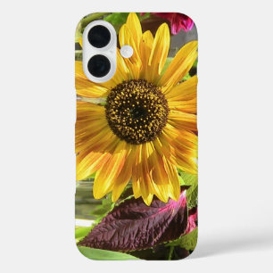 Coque iphone de tournesol Sassy