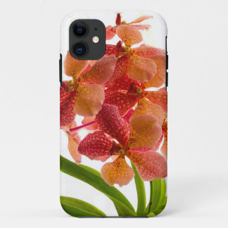 coque iphone des orchidées