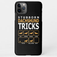 Don de chien | Tucs Dachshund têtus
