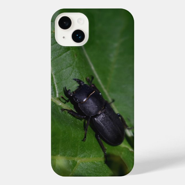 Coque iPhone Dorcus parallelipipedus, le moindre dendroctone du (Verso)