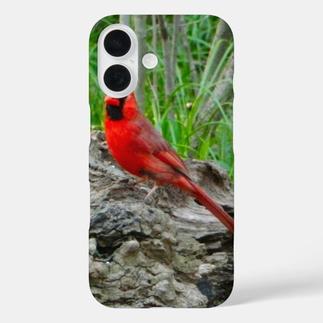Coque iphone du cardinal rouge (Ohio) (Verso)