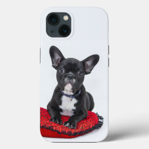 coque iphone du Coque bulldog-Mate