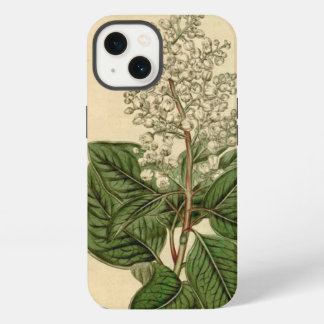 Etui iPhone 13 Étui iPhone Arbutus Menziesii