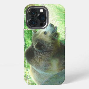 Etui iPhone 13 Pro Étui pour iPhone 13 Pro Ours Grizzly #3