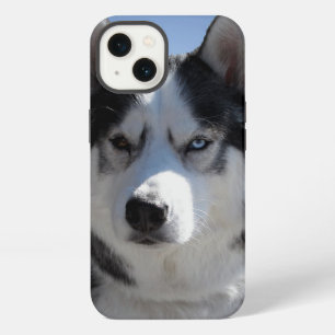 Etui iPhone 13 Étui pour iPhone Husky personnalisé Husky Malamute
