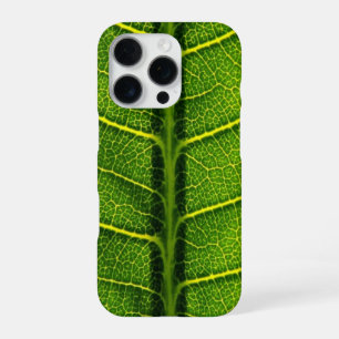 Coque iPhone 16 Pro Feuille verte