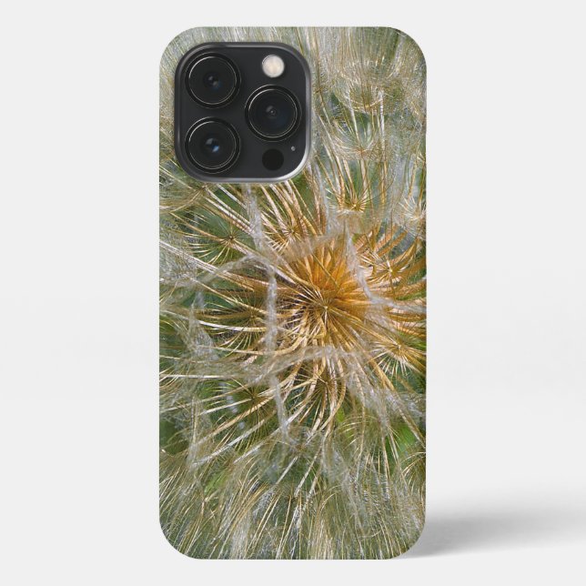 Coque iPhone Fleur Dandelion (Verso)