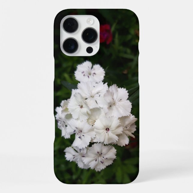 Coque iPhone Fleurs d'Œillet Blanc (Verso)