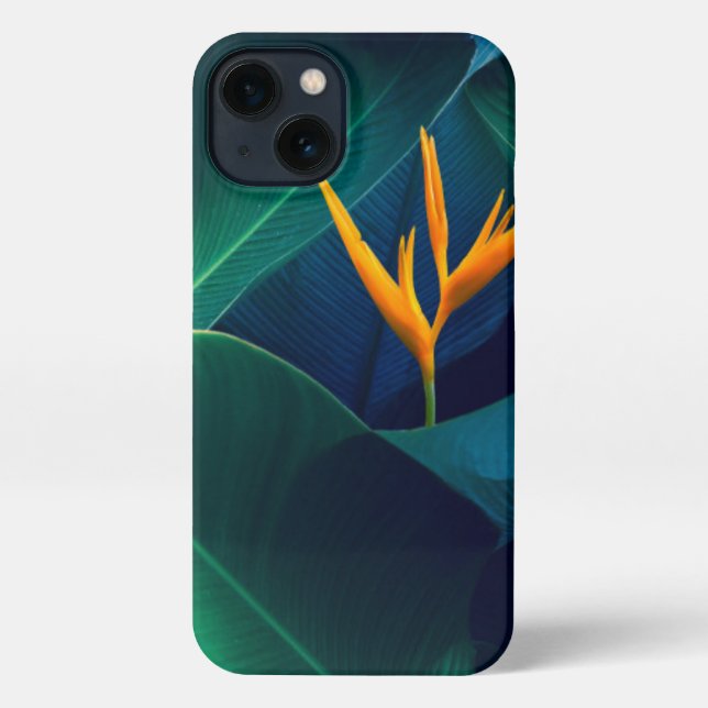 Coque iPhone Fleurs | Oiseau du paradis (Verso)