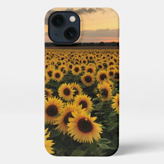 Coque iPhone Fleurs | Terrain de tournesol (Verso)