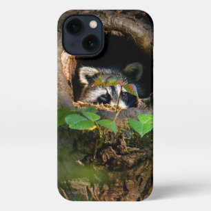 Etui iPhone 13 Forêt Raccoon Peeking