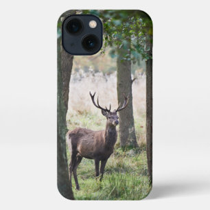 Etui iPhone 13 Forêt   Woodlands & Red Deer