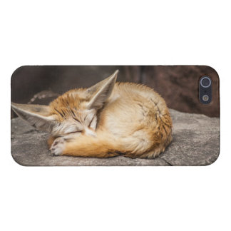 Coque iPhone 5 Fox mignon de Fennec