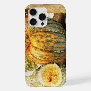 FRUITS DE SAISON  / CITROUILLES 
