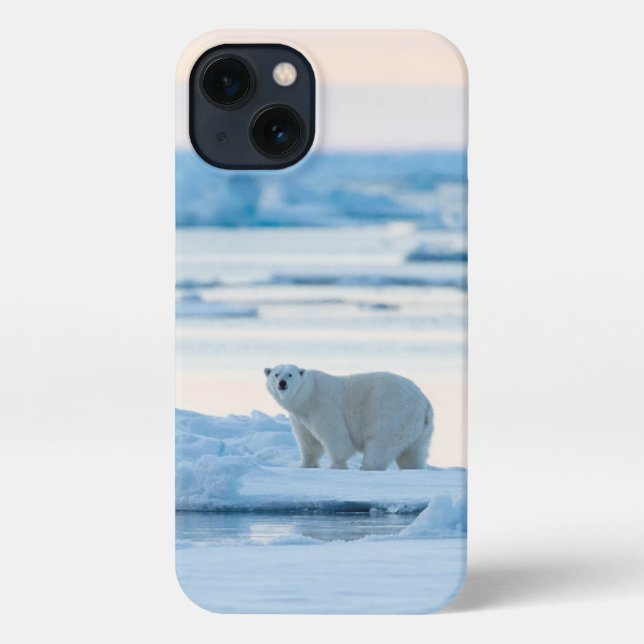 Coque iPhone Glace et neige | Ours polaire Iceberg Norvège (Verso)