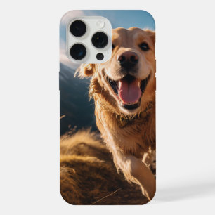 Golden Retriever heureux en course