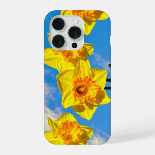 Groupe de Daffodils Médaille d'or fleurs Téléphone