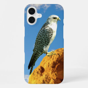Coque iPhone 16 Plus Gyrfalcon perché sur un étui de téléphone