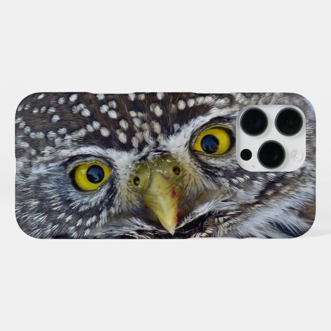 Coque iPhone Hibou (Verso Horizontal)