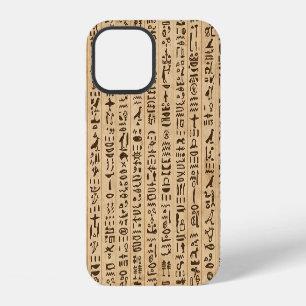 Coque iPhone 12 Hiéroglyphes égyptiens : Grunge Seamless Magic