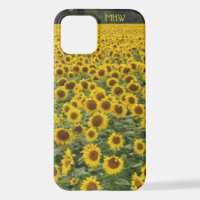 Initiales du terrain de tournesol