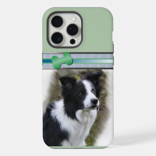 Jolie frontière moderne Collie Dog Art