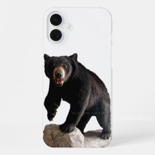 Coque iPhone 16 Plus La majestueuse fourrure noire épaisse de l'ours no