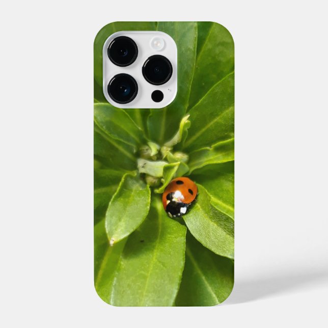 Coque iPhone Ladybug (Verso)