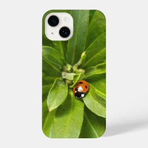 Coque Pour iPhone 14 Ladybug
