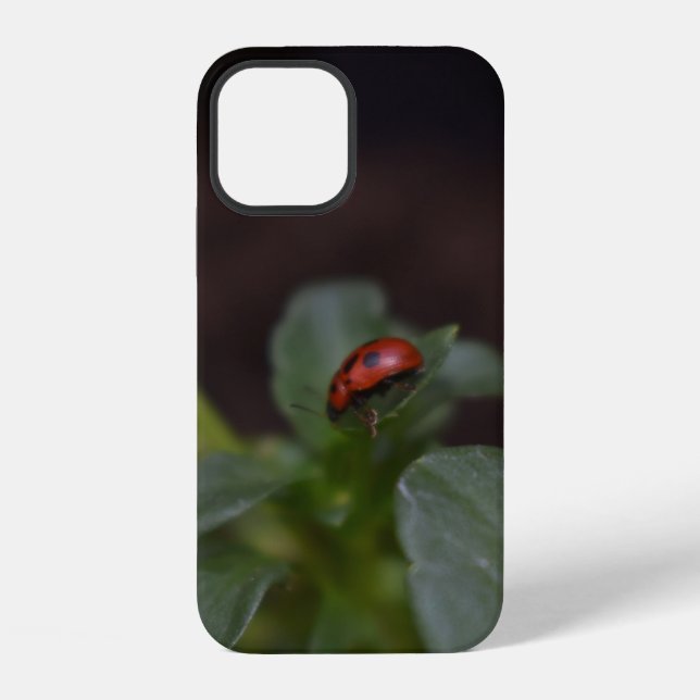 Coque iPhone Ladybug (Verso)