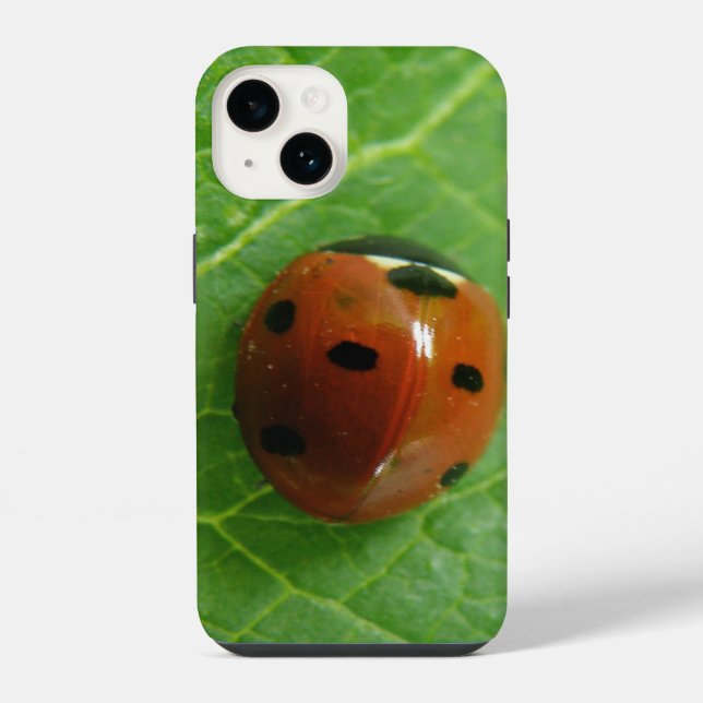 Coque iPhone Ladybug (Verso)