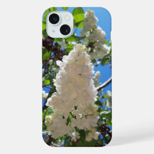 Lilas commun, arbre à fleurs de lilas blanc
