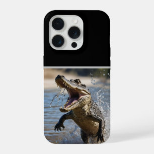 Mâchoires effrayantes : Crocodile australien sauta