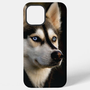 Coque iPhone 12 Pro Max Magnifique Coussin de Lancement Husky