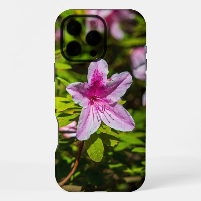 Coque iPhone magnifiques fleurs d'azalée rose au Descanso Garde (Verso)