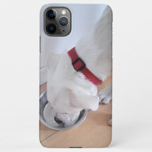 Coque iPhone 11Pro Max Mélange d'eau potable de Chien coquelicot blanc c