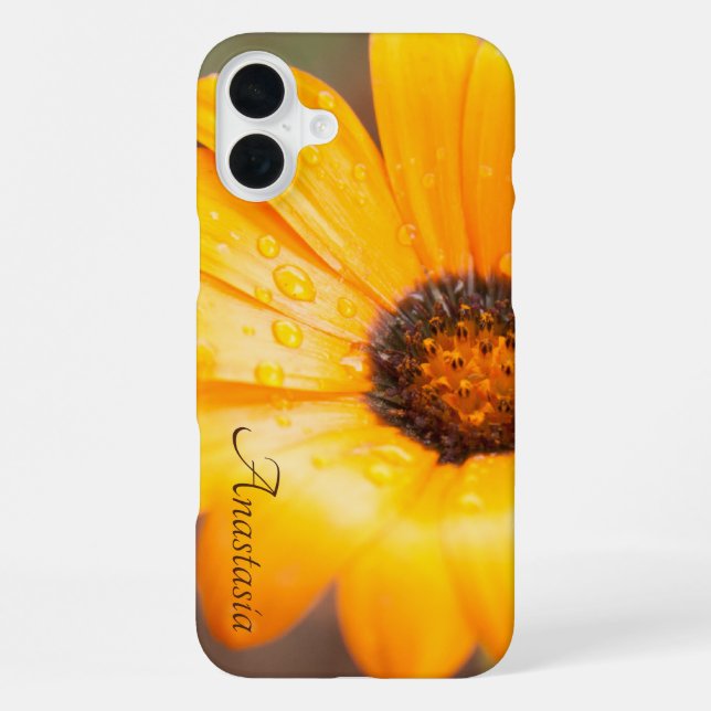 Coque iPhone Nom personnalisé Orange Daisy Gros plan Photo (Verso)