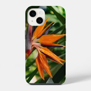 Coque Pour iPhone 14 Oiseau de fleur de paradis.