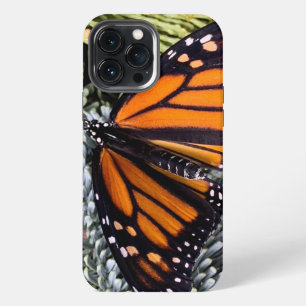 Etui iPhone 13 Pro Max Papillon monarque sur les conifères