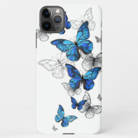 Papillons volants bleus Morpho