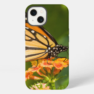 Etui iPhone 13 photo d'un papillon sur une fleur