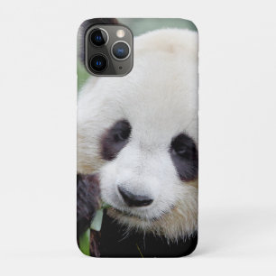 coque iphone Photo panda géant, animaux.