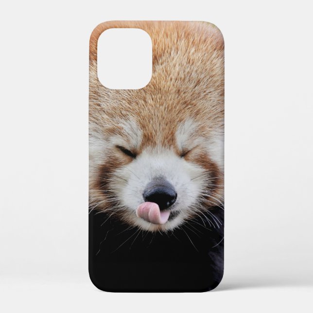 coque iphone Photo panda géant, animaux. (Verso)