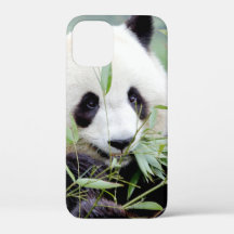 coque iphone Photo panda géant, animaux.