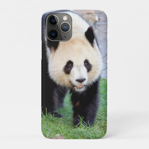 coque iphone Photo panda géant, animaux.