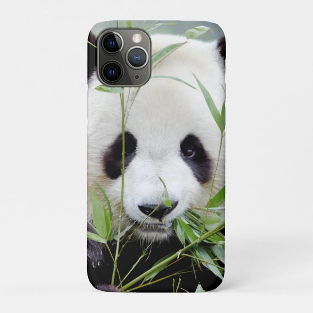 coque iphone Photo panda géant, animaux. (Dos)
