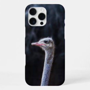 Coque iPhone 16 Pro Max Photographie d'autruche