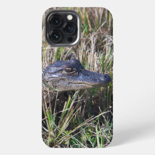 Etui iPhone 13 Pro Max Photographie d'un bébé alligator dans l'herbe des