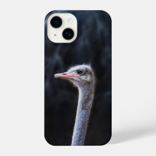 Coque Pour iPhone 14 portrait d'autruche