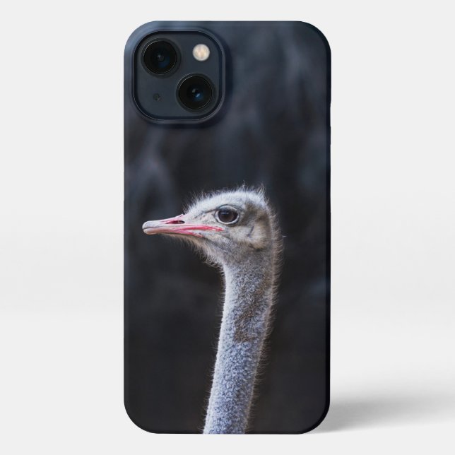 Coque iPhone portrait d'autruche (Verso)